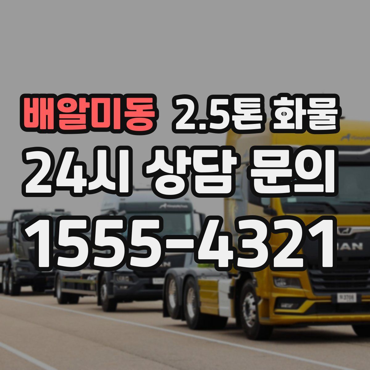 배알미동 2.5톤 화물