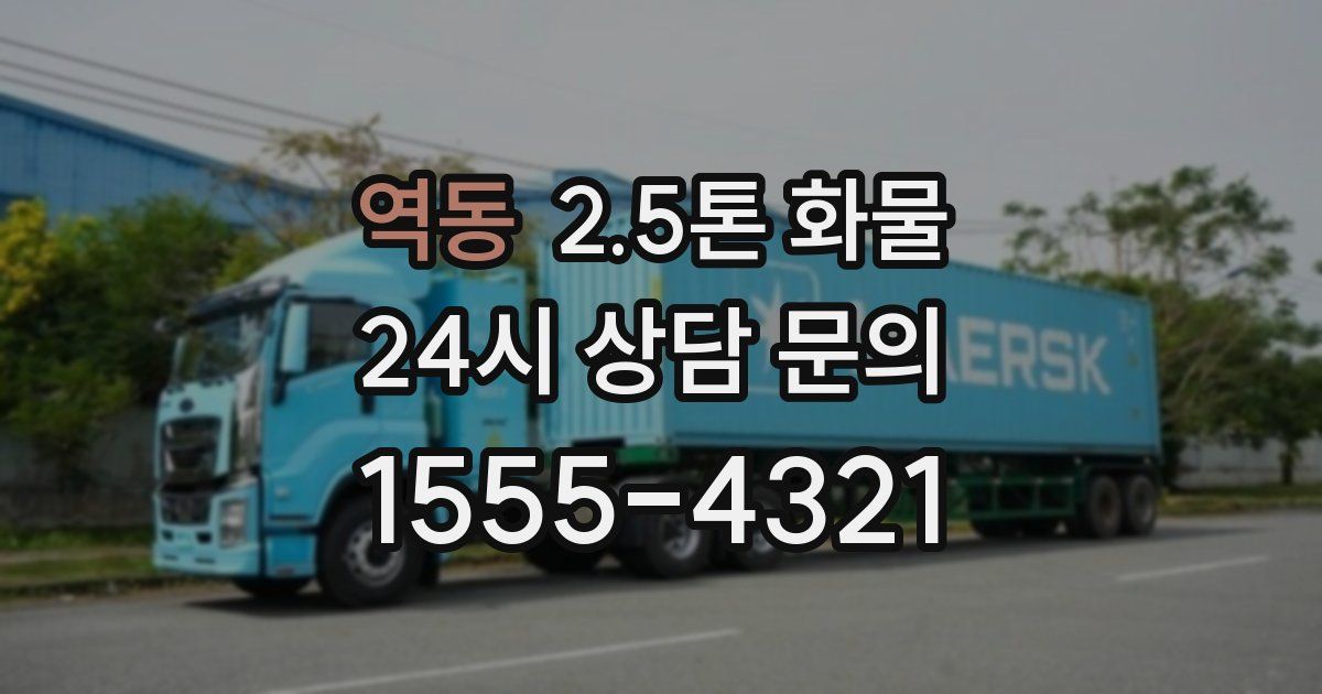 역동 2.5톤 화물