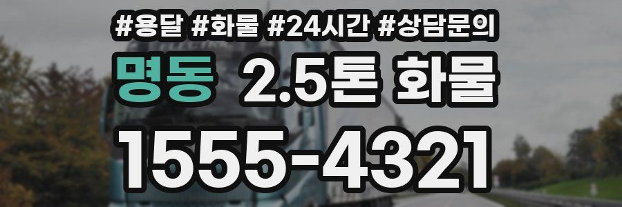 명동 2.5톤 화물