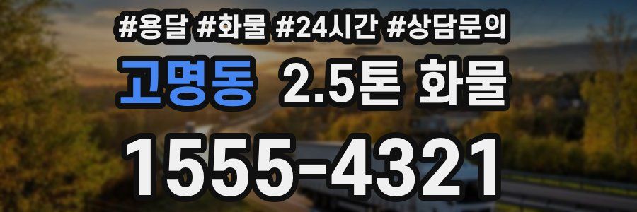 고명동 2.5톤 화물