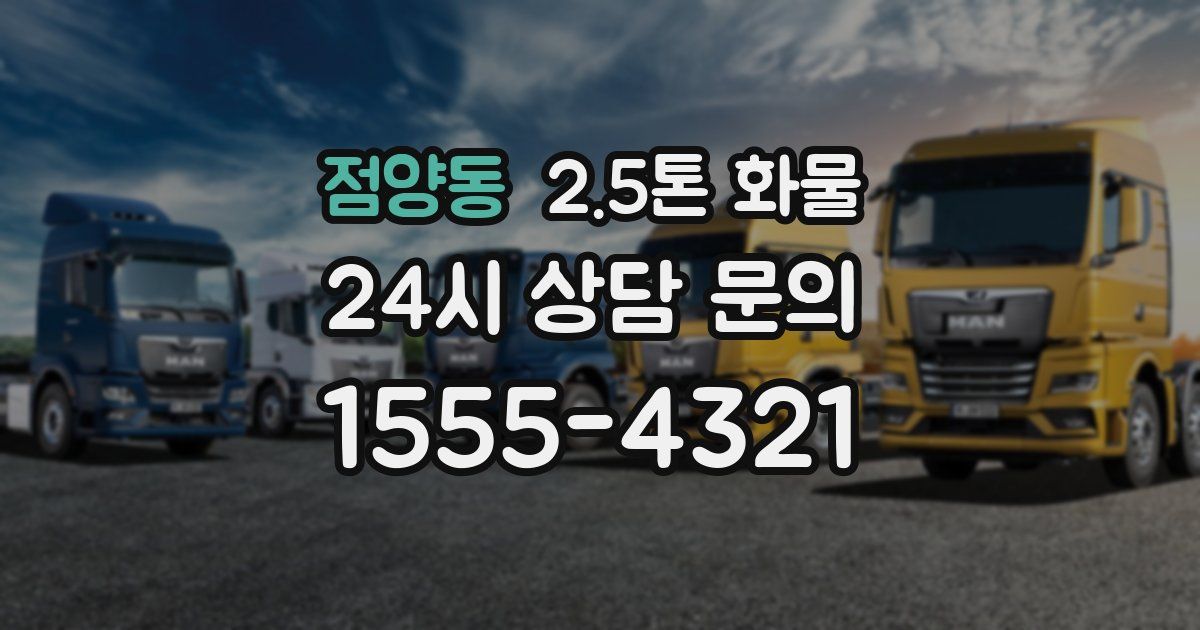 점양동 2.5톤 화물
