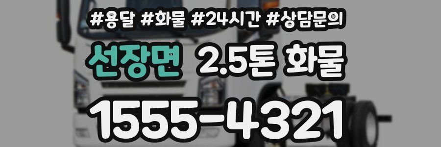 선장면 2.5톤 화물