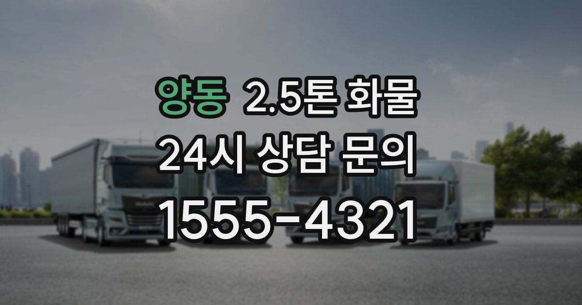 양동 2.5톤 화물