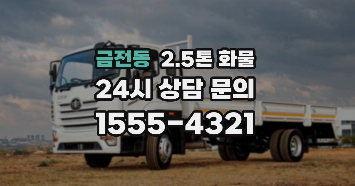 금전동 2.5톤 화물