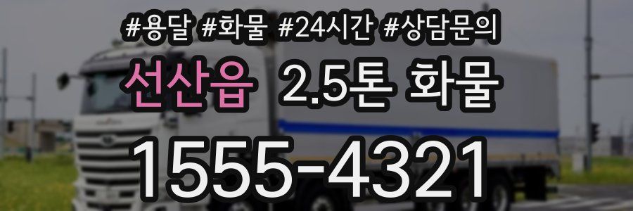 선산읍 2.5톤 화물