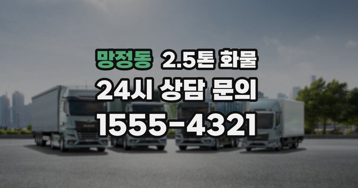 망정동 2.5톤 화물