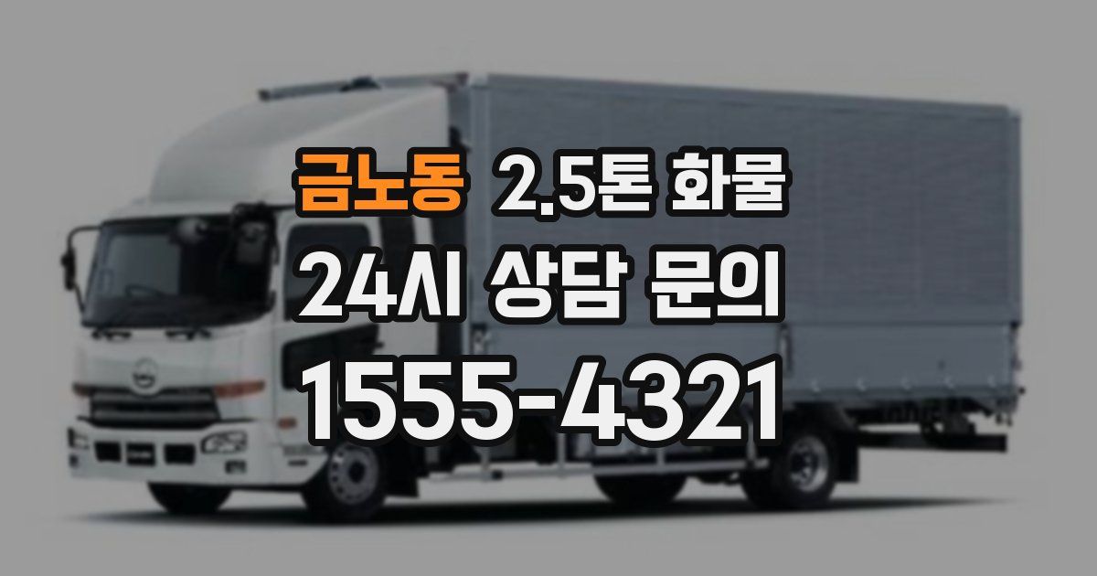 금노동 2.5톤 화물