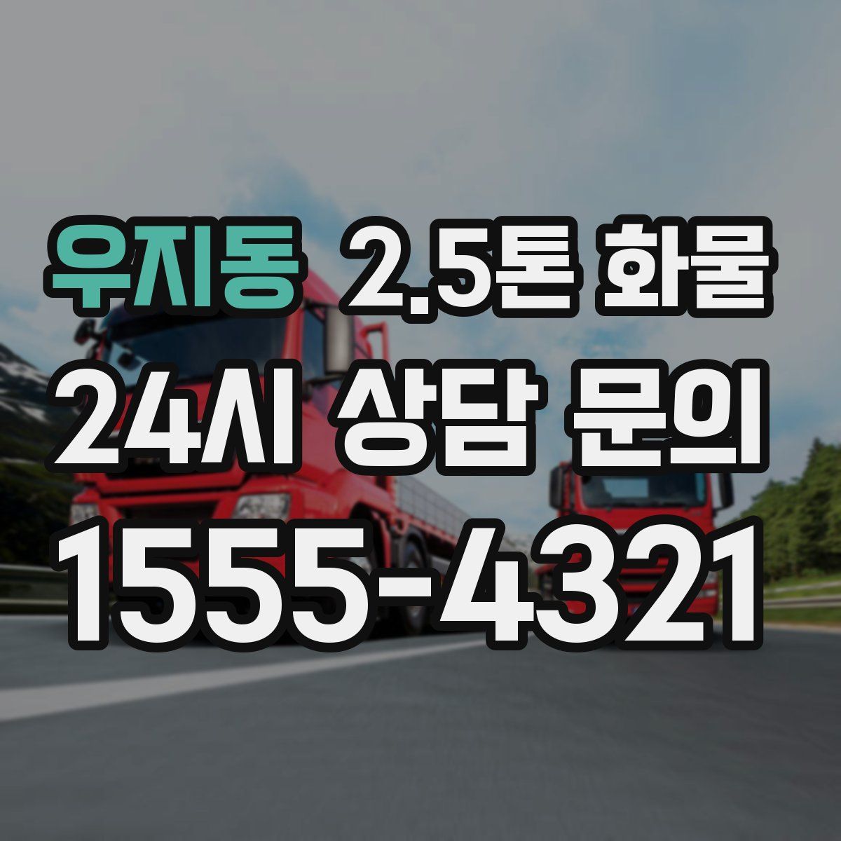 우지동 2.5톤 화물