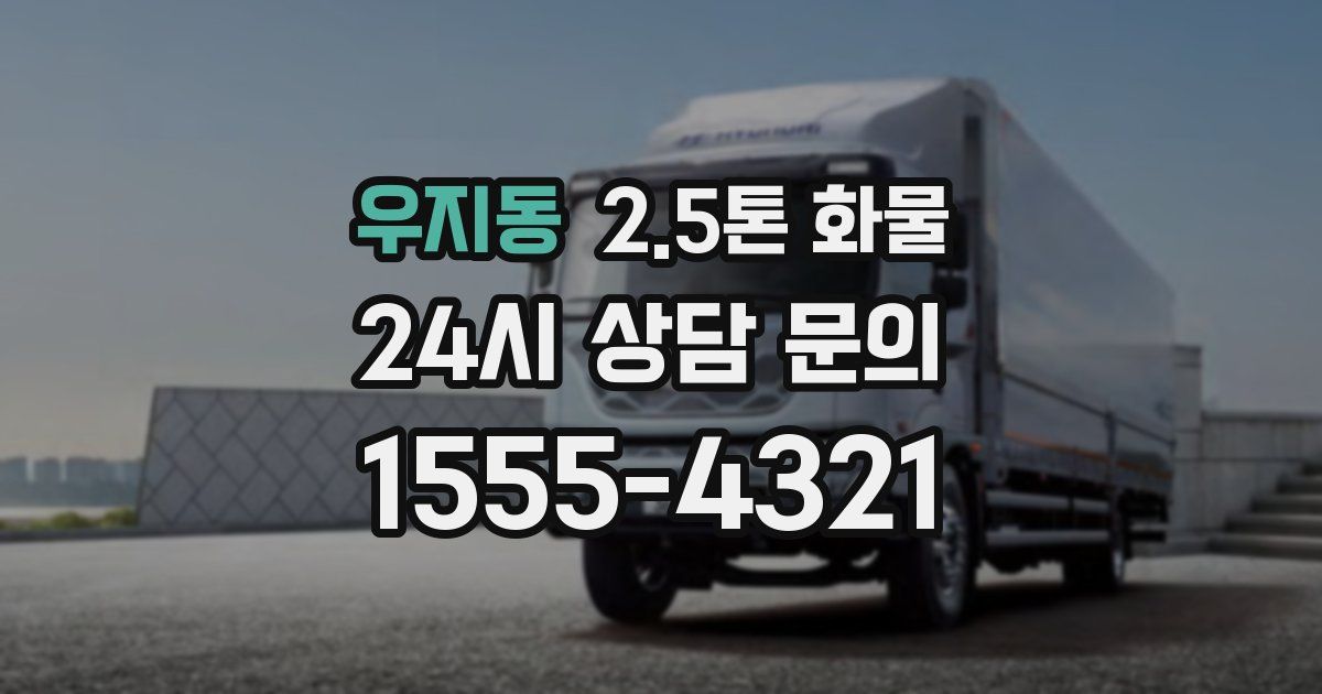 우지동 2.5톤 화물