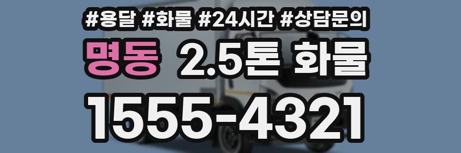 명동 2.5톤 화물