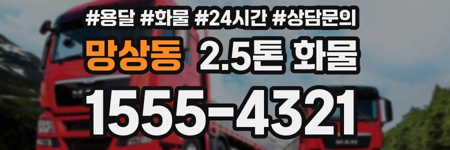 망상동 2.5톤 화물