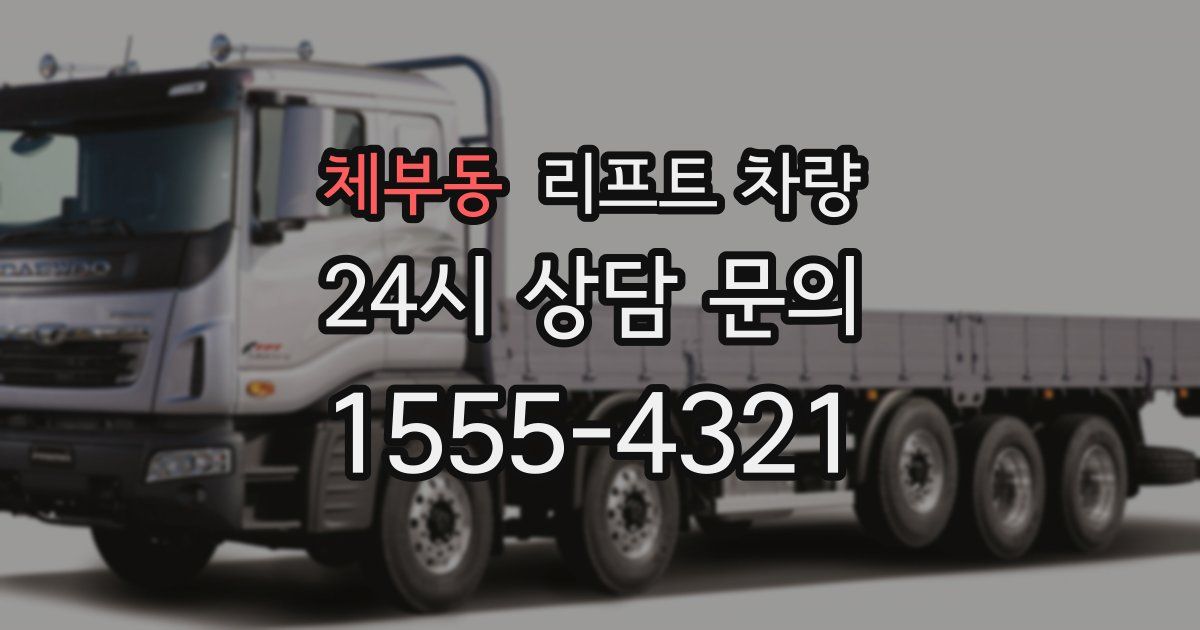 체부동 리프트 차량