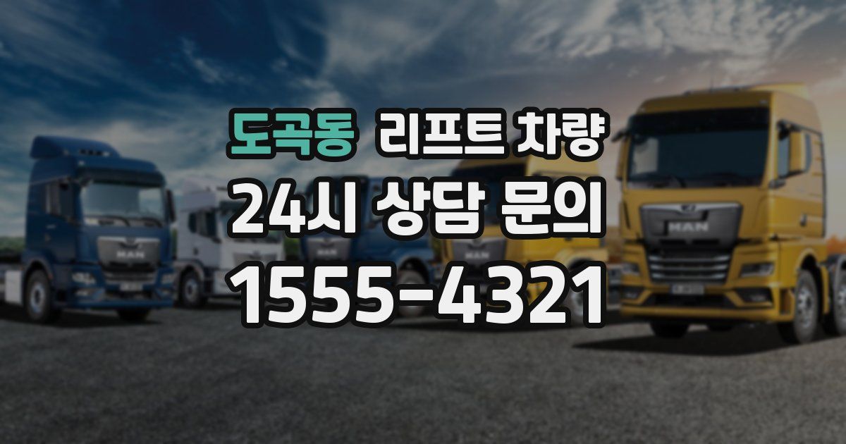 도곡동 리프트 차량