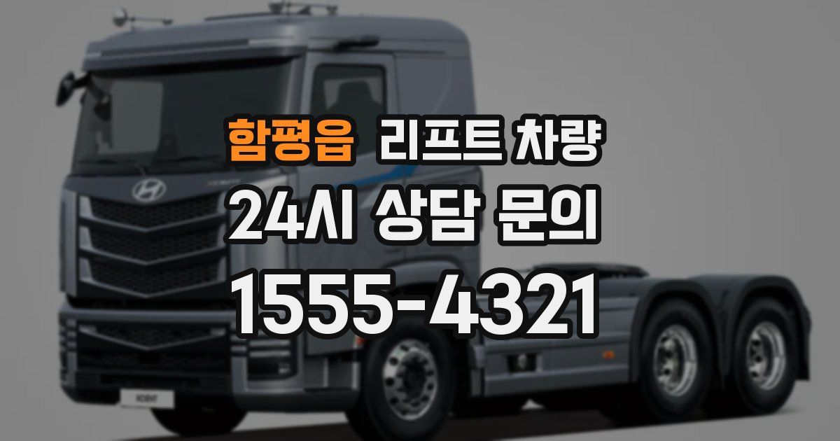 함평읍 리프트 차량