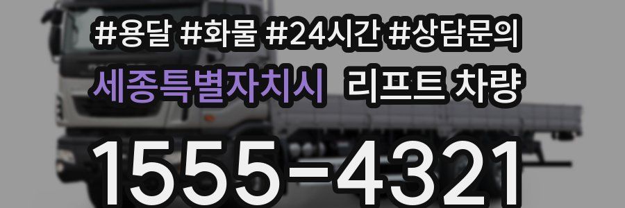 세종특별자치시 리프트 차량