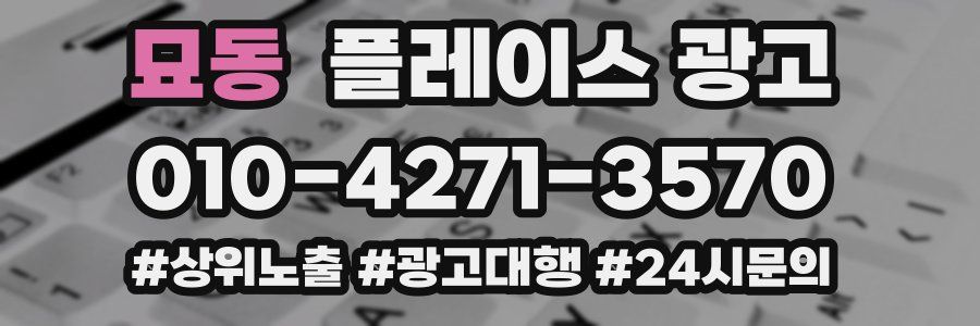 묘동 플레이스 광고