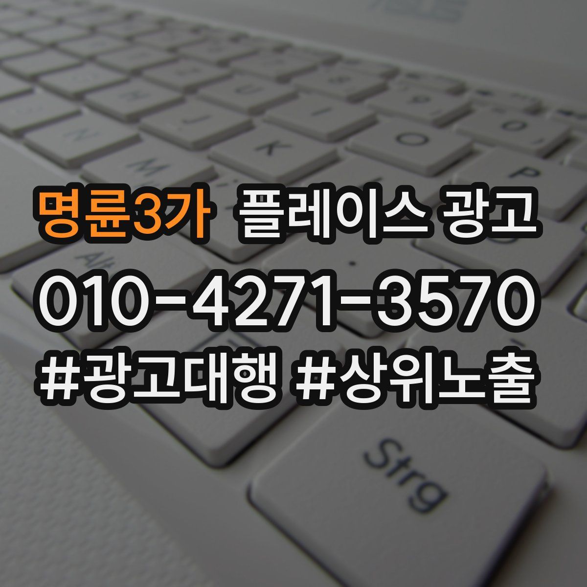 명륜3가 플레이스 광고