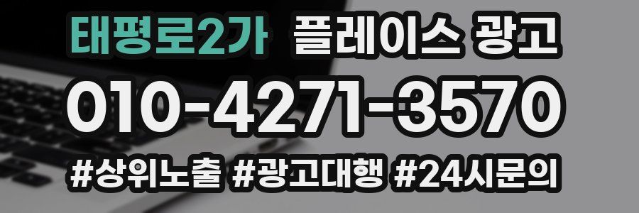 태평로2가 플레이스 광고
