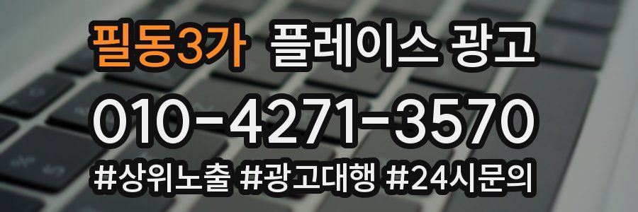 필동3가 플레이스 광고