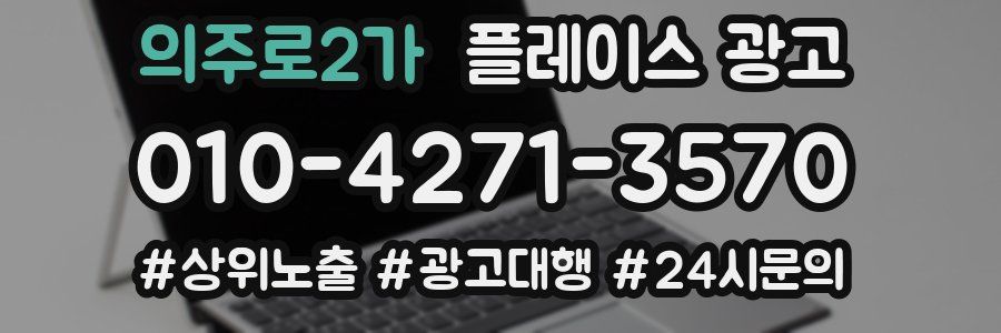 의주로2가 플레이스 광고
