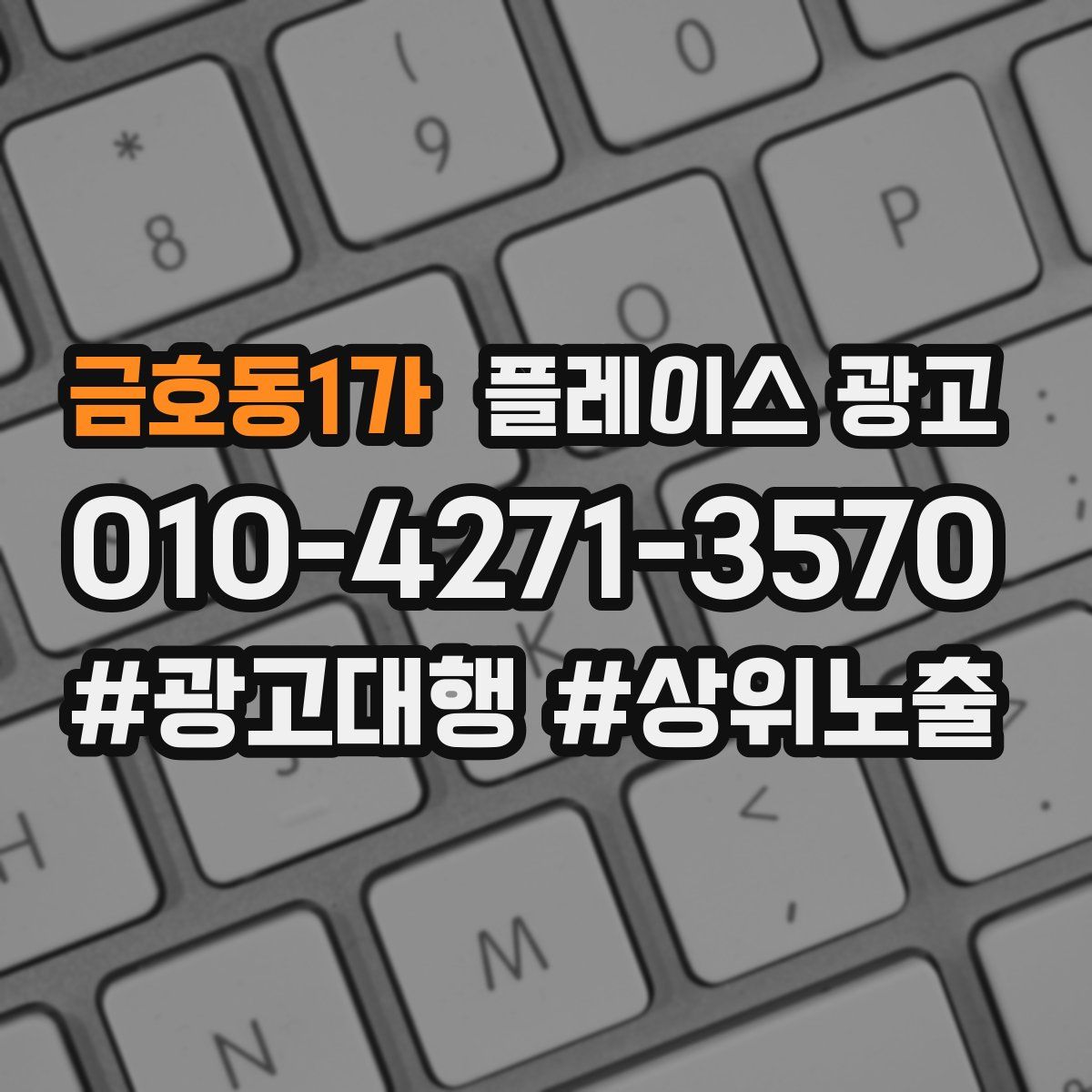 금호동1가 플레이스 광고