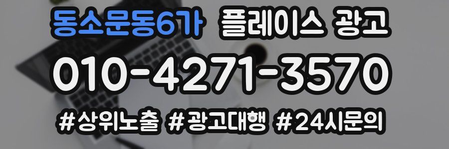 동소문동6가 플레이스 광고