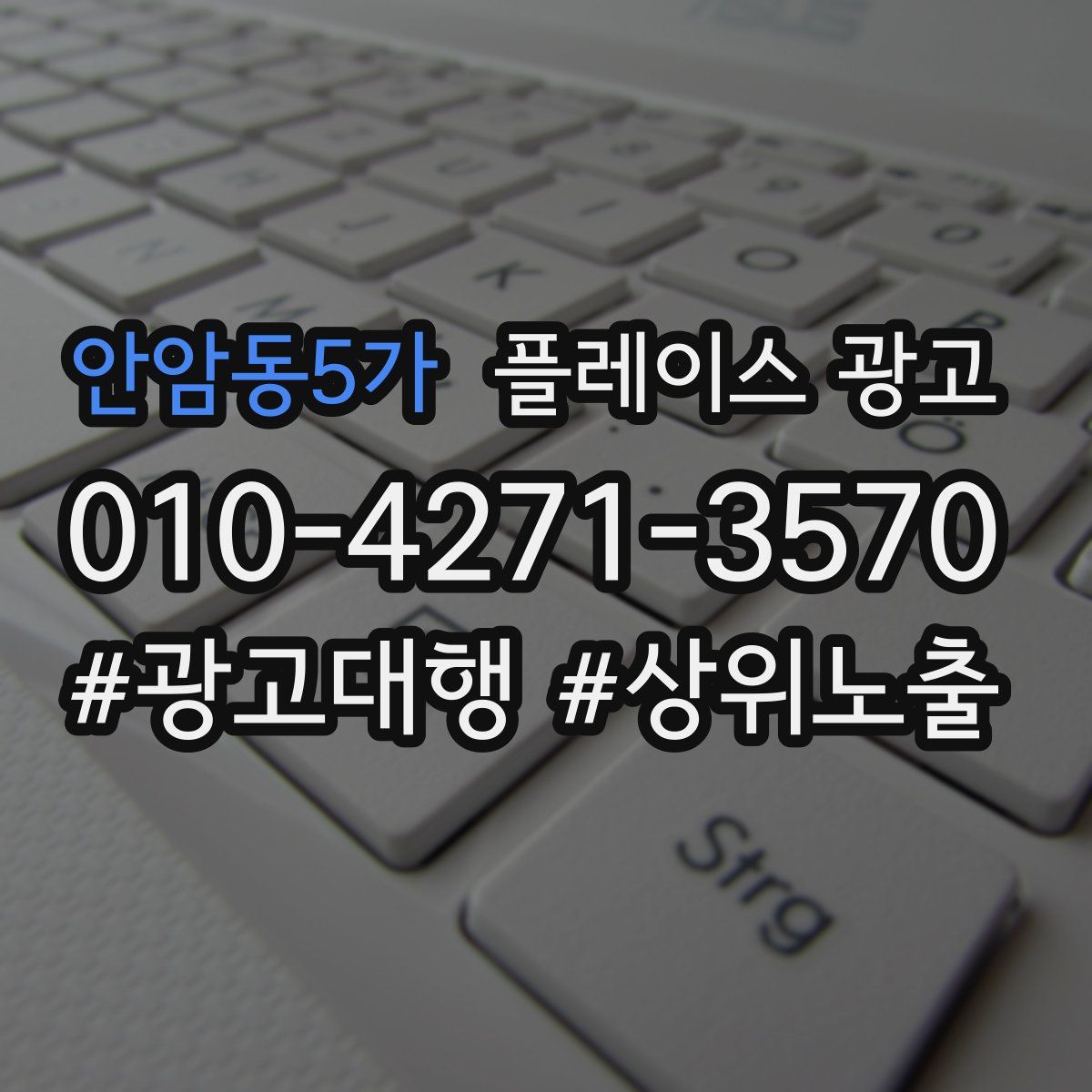안암동5가 플레이스 광고