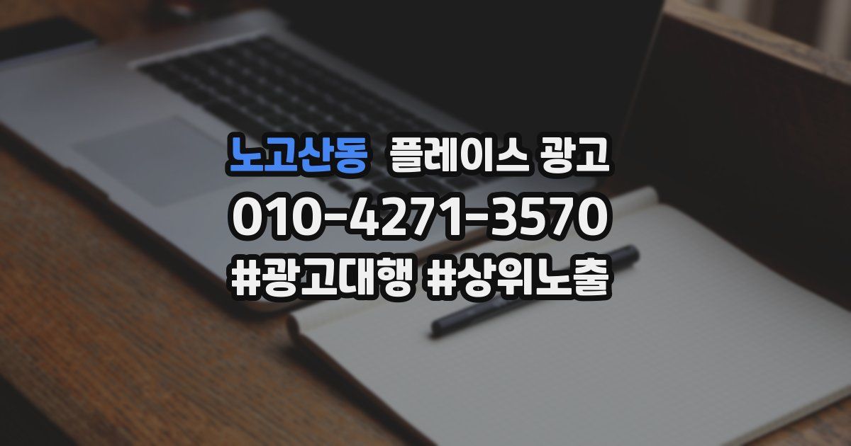 노고산동 플레이스 광고