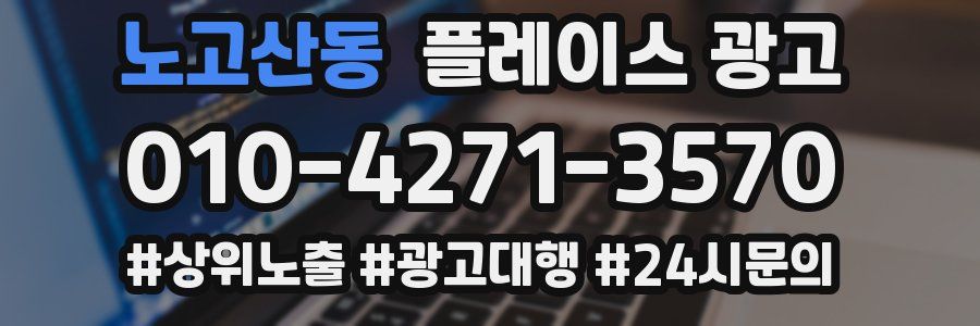 노고산동 플레이스 광고