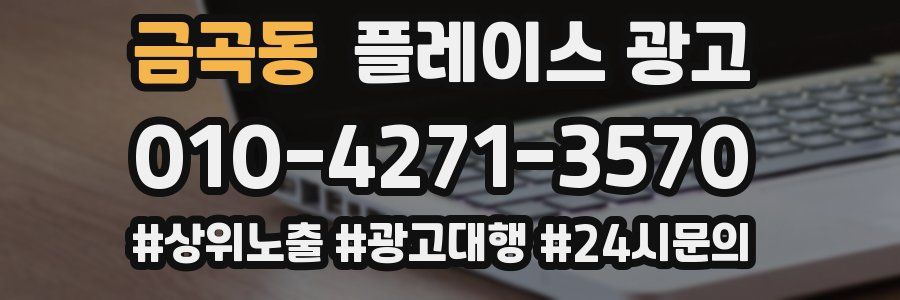 금곡동 플레이스 광고