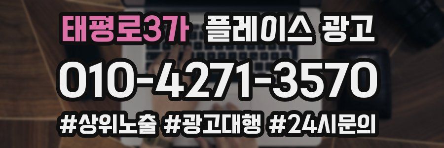 태평로3가 플레이스 광고