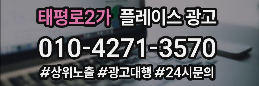 태평로2가 플레이스 광고
