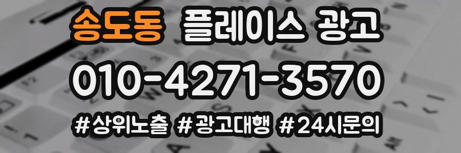 송도동 플레이스 광고