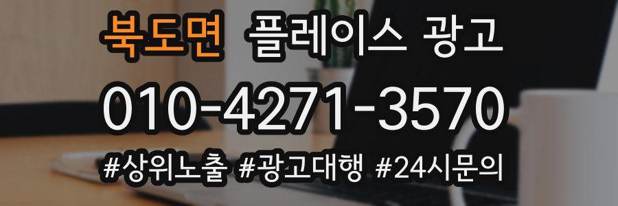 북도면 플레이스 광고