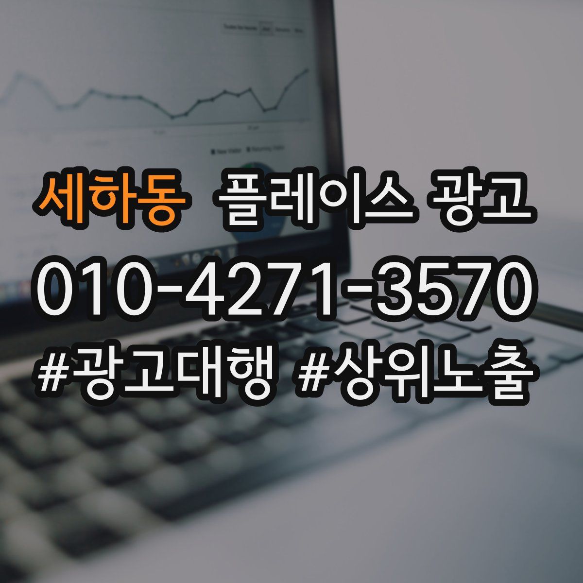 세하동 플레이스 광고