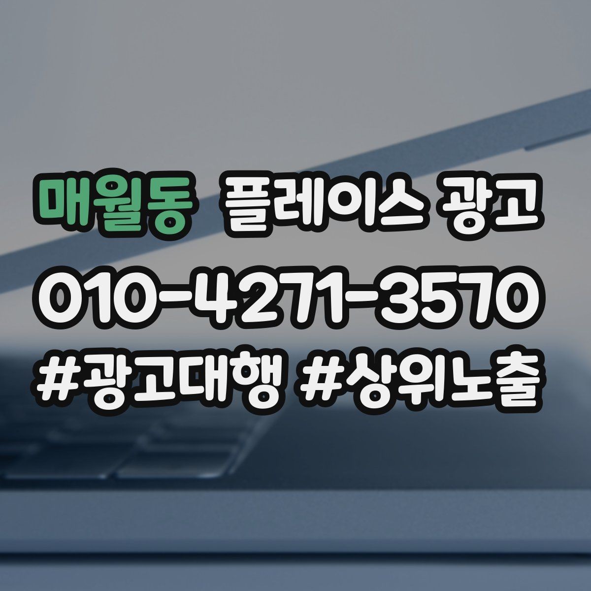 매월동 플레이스 광고 가격 검색에 대응하는 정보 배치