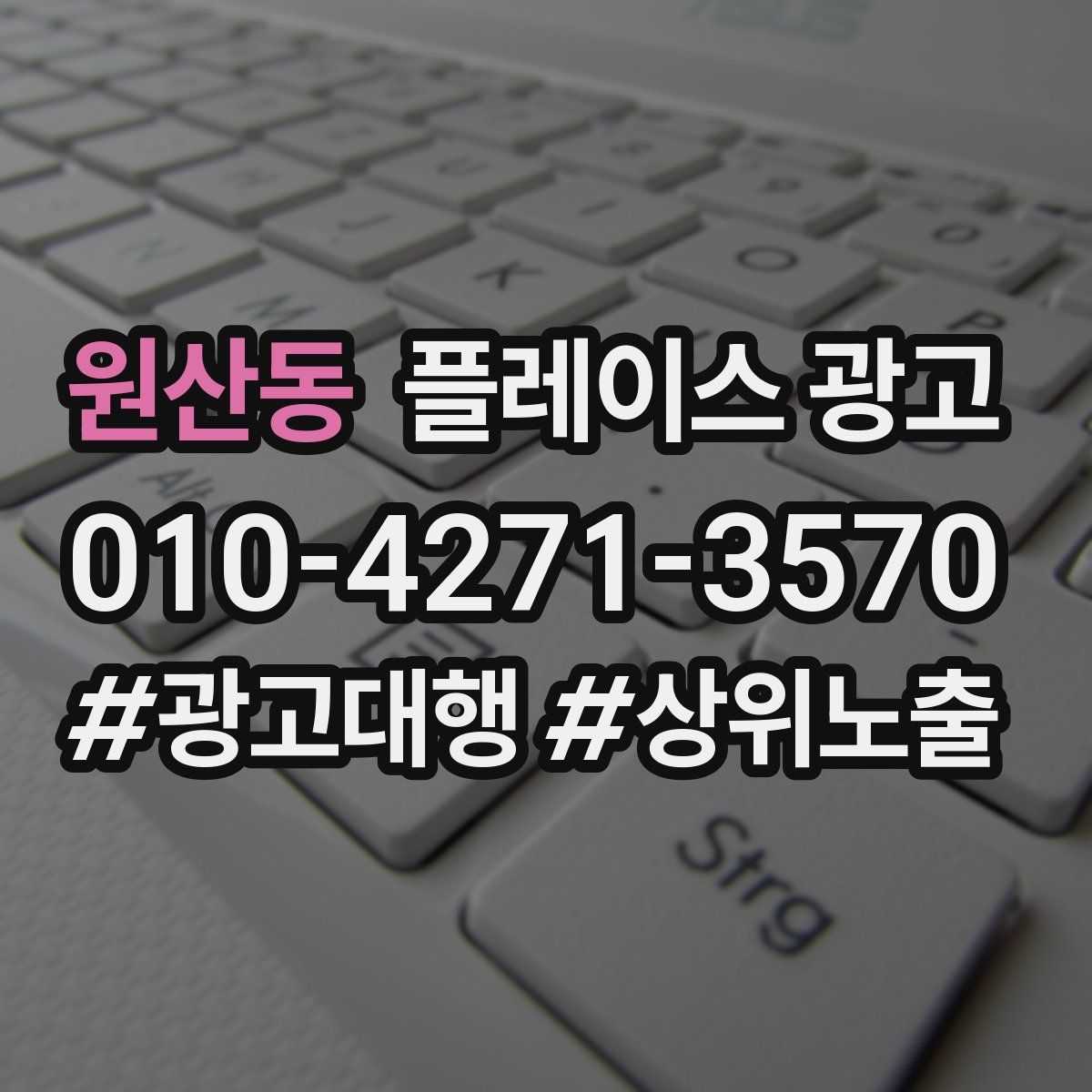 원산동 플레이스 광고