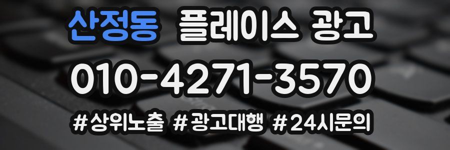 산정동 플레이스 광고