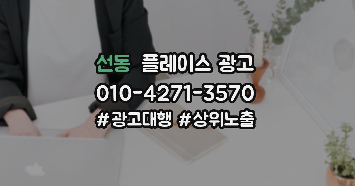 선동 플레이스 광고