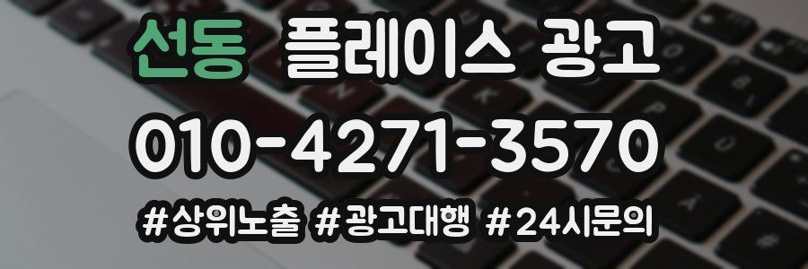 선동 플레이스 광고