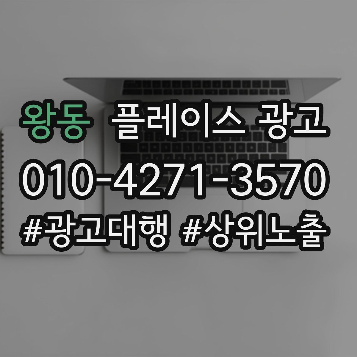 왕동 플레이스 광고