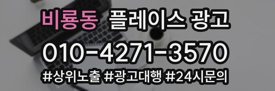 비룡동 플레이스 광고