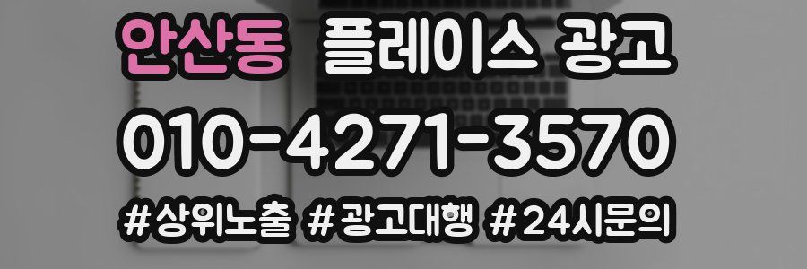 안산동 플레이스 광고