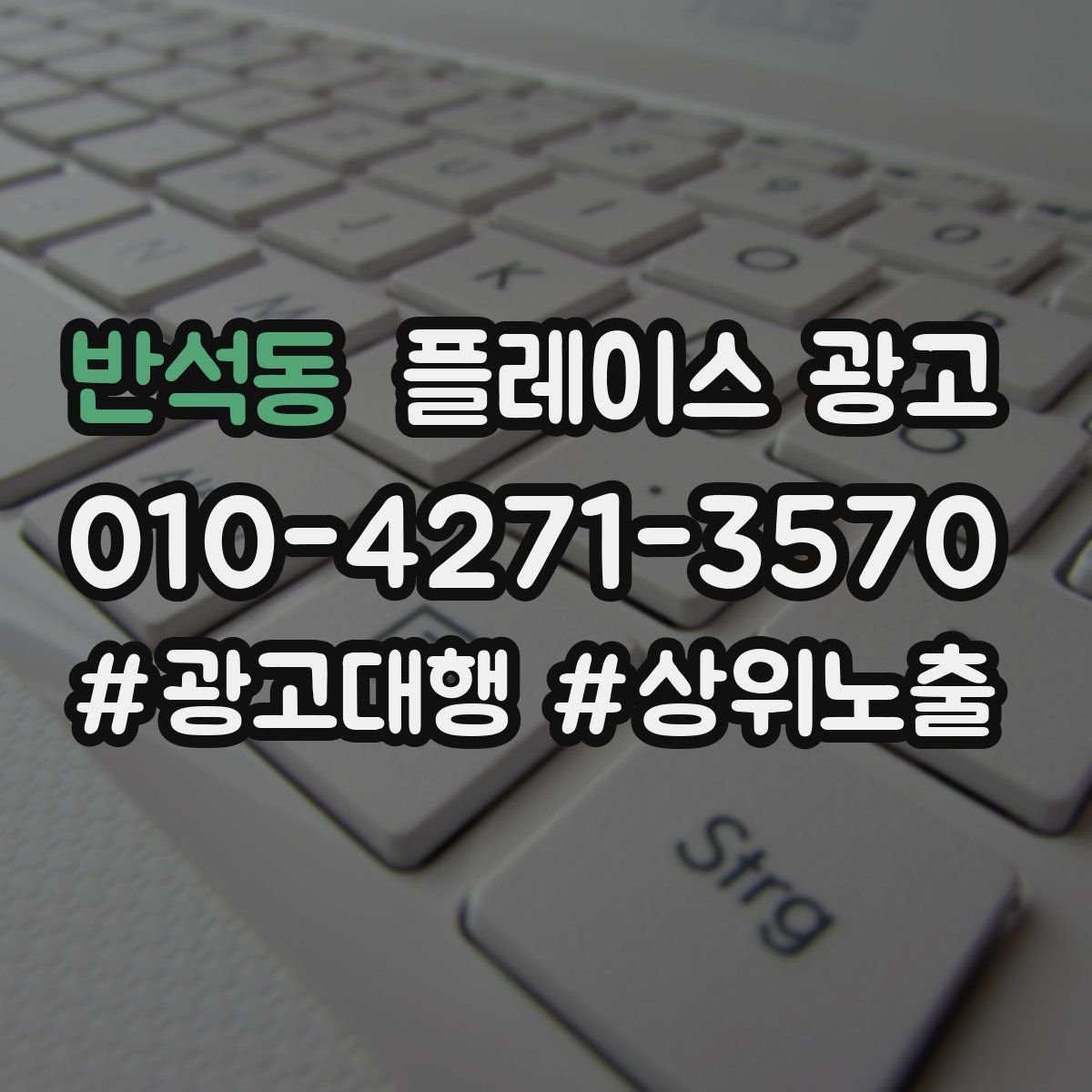 반석동 플레이스 광고