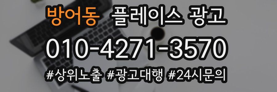 방어동 플레이스 광고