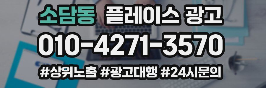 소담동 플레이스 광고