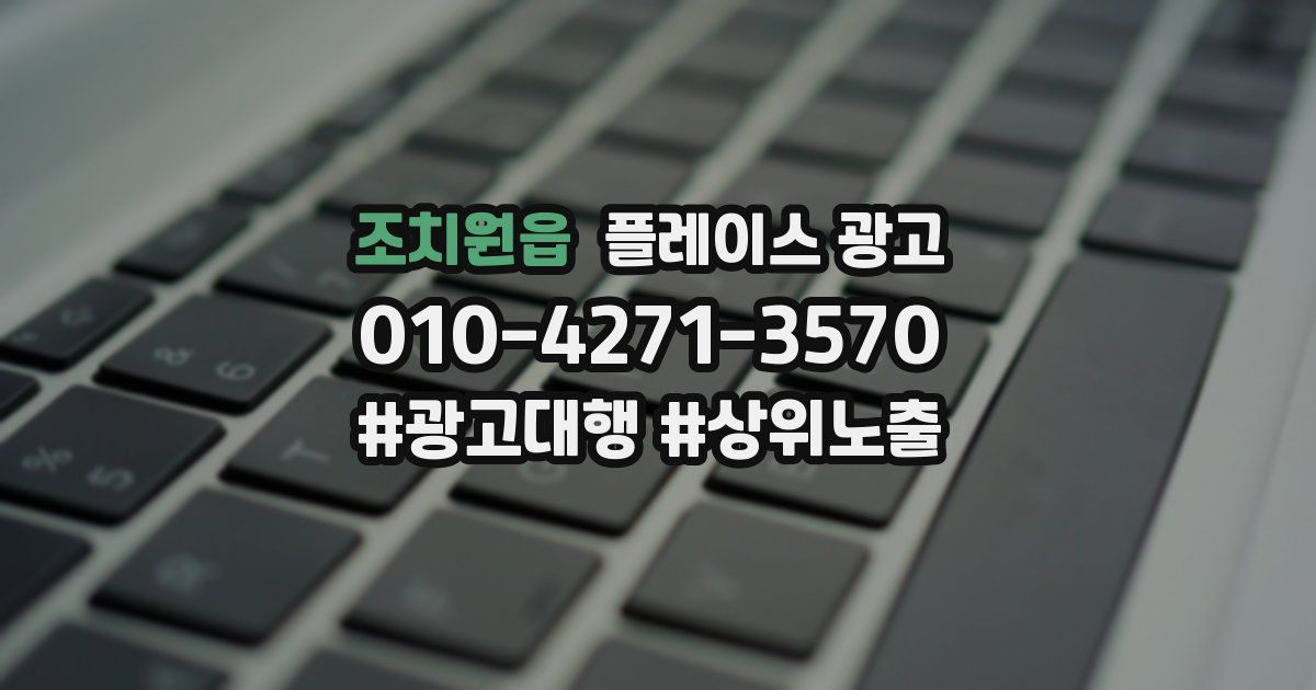 조치원읍 플레이스 광고