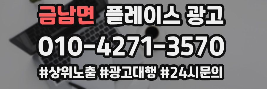금남면 플레이스 광고