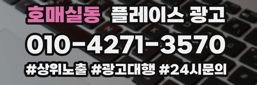 호매실동 플레이스 광고