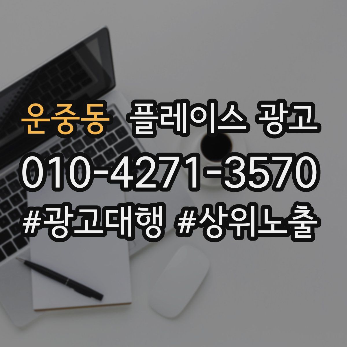 운중동 플레이스 광고
